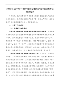 2023年上半年一把手落實(shí)全面從嚴(yán)治黨主體責(zé)任情況報告docx