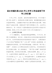 縣鄉(xiāng)村振興局2023年上半年工作總結(jié)和下半年工作打算docx