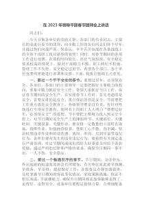 在2023年領(lǐng)導(dǎo)干部春節(jié)團(tuán)拜會(huì)上講話docx