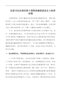 紀(jì)委書記在新任職干部集體廉政談話會(huì)上的講話稿docx