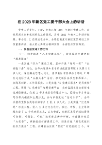 在新區(qū)黨工委干部大會上的講話docx
