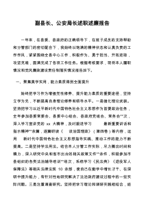 副縣長(zhǎng)、公安局長(zhǎng)述職述廉報(bào)告docx