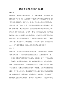 審計實習(xí)日記20篇