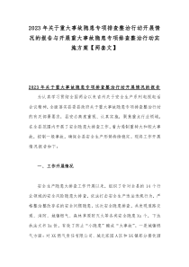 2023年關(guān)于重大事故隱患專項排查整治行動開展情況的報告與開展重大事故隱患專項排查整治行動實施方案【兩套文】