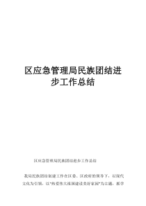 區(qū)應急管理局民族團結進步工作總結