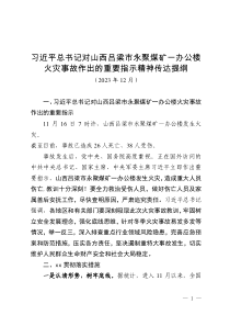 傳達(dá)學(xué)習(xí)習(xí)近平總書記火災(zāi)事故批示精神提綱