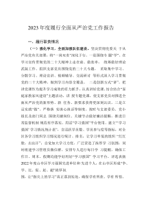 2023年度履行全面從嚴治黨工作報告