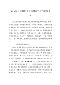 2023年公司基層黨建質(zhì)量跟評工作述職報告