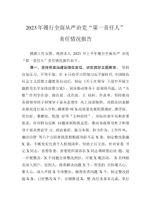 2023年履行全面從嚴(yán)治黨“第一責(zé)任人”責(zé)任情況報(bào)告
