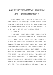 2023年農(nóng)業(yè)農(nóng)村局巡視整改專題民主生活會(huì)班子對(duì)照檢查材料治疆方略