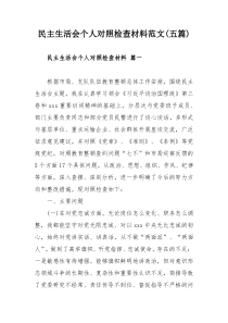 民主生活會(huì)個(gè)人對(duì)照檢查材料范文(五篇)