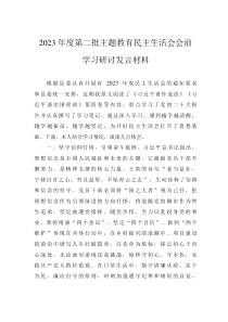 2023年度第二批主題教育民主生活會會前學(xué)習(xí)研討發(fā)言材料