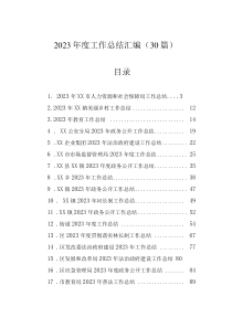 2023年度工作總結(jié)匯編（30篇）