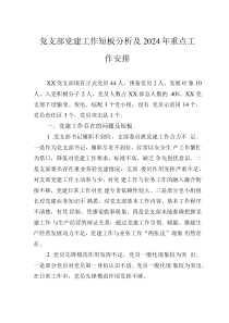 黨支部黨建工作短板分析及2024年重點(diǎn)工作安排