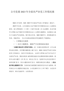 公司黨委2023年全面從嚴(yán)治黨工作情況報告