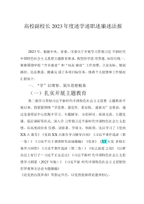 高校副校長2023年度述學(xué)述職述廉述法報(bào)告