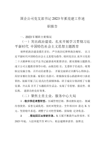 國企公司黨支部書記2023年抓黨建工作述職報(bào)告