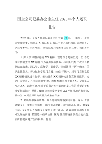 國企公司紀(jì)委辦公室主任2023年個(gè)人述職報(bào)告