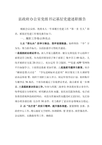 縣政府辦公室黨組書記基層黨建述職報告