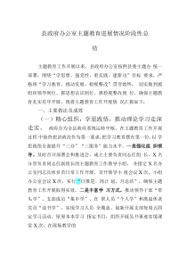 縣政府辦公室主題教育進(jìn)展情況階段性總結(jié)