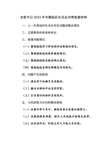 2024年專題組織生活會(huì)班子“新六個(gè)方面” 對(duì)照檢查材料（主題教育、執(zhí)行組織決定、嚴(yán)格組織生活、等）范文