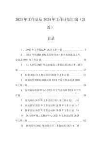 2023年工作總結(jié)2024年工作計劃匯編（21篇）