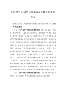 黨組織書(shū)記2023年度抓基層黨建工作述職報(bào)告