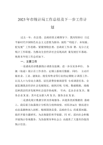 2023年市統(tǒng)計(jì)局工作總結(jié)及下一步工作計(jì)劃