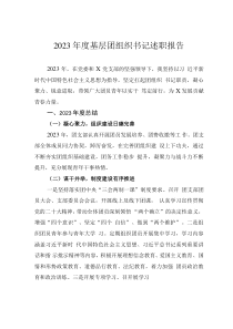2023年度基層團(tuán)組織書(shū)記述職報(bào)告
