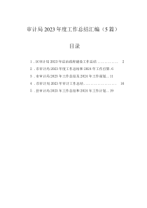 審計局2023年度工作總結(jié)匯編（5篇）