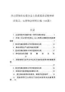 學(xué)習(xí)貫徹在紀委全會上的重要講話精神研討發(fā)言、心得體會材料匯編（14篇）