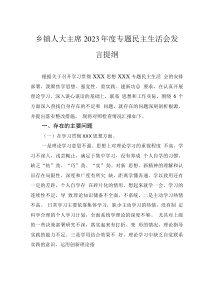 鄉(xiāng)鎮(zhèn)人大主席2023年度專題民主生活會發(fā)言提綱