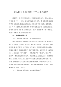 新入職公務(wù)員2023年個人工作總結(jié)