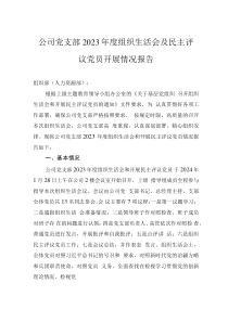 公司黨支部2023年度組織生活會(huì)及民主評(píng)議黨員開(kāi)展情況報(bào)告