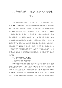 2023年度黨組織書記述職報告