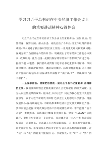 學(xué)習(xí)習(xí)近平總書記在中央經(jīng)濟工作會議上的重要講話精神心得體會