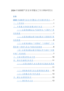 2024年城鎮(zhèn)燃氣安全專項整治工作方案參考范文