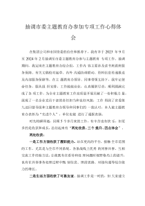 抽調(diào)市委主題教育辦參加專(zhuān)項(xiàng)工作心得體會(huì)