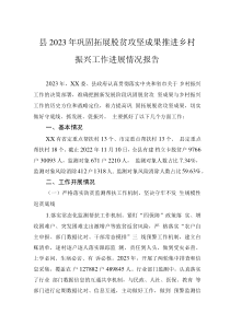 縣2023年鞏固拓展脫貧攻堅成果推進鄉(xiāng)村振興工作進展情況報告