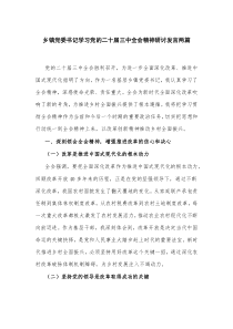 鄉(xiāng)鎮(zhèn)黨委書記學(xué)習黨的二十屆三中全會精神研討發(fā)言兩篇