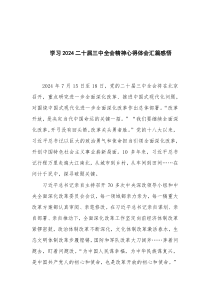 學(xué)習(xí)2024二十屆三中全會(huì)精神心得體會(huì)匯篇感悟