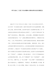 學(xué)習(xí)2024二十屆三中全會(huì)精神心得體會(huì)研討發(fā)言多篇范文