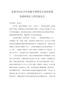 縣委書記在全市黨建引領(lǐng)國(guó)有企業(yè)高質(zhì)量發(fā)展座談會(huì)上的交流發(fā)言
