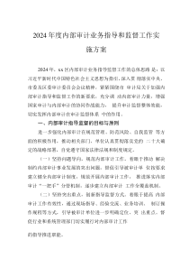 2024年度內(nèi)部審計業(yè)務(wù)指導(dǎo)和監(jiān)督工作實施方案