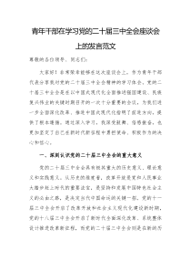 青年干部在學(xué)習(xí)黨的二十屆三中全會座談會上的發(fā)言范文