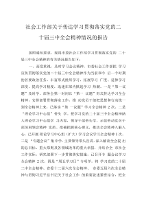 社會(huì)工作部關(guān)于傳達(dá)學(xué)習(xí)貫徹落實(shí)黨的二十屆三中全會(huì)精神情況的報(bào)告