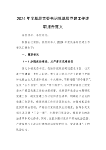 2024年度基層黨委書記抓基層黨建工作述職報(bào)告范文
