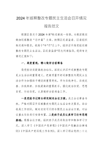2024年巡察整改專題民主生活會(huì)召開情況報(bào)告范文