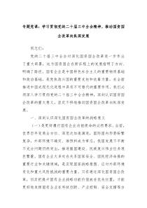 專題黨課：學(xué)習(xí)貫徹黨的二十屆三中全會精神，推動國資國企改革向縱深發(fā)展