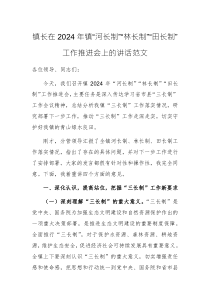 領(lǐng)導(dǎo)干部在2024年鎮(zhèn)“河長制”“林長制”“田長制”工作推進(jìn)會上的講話范文